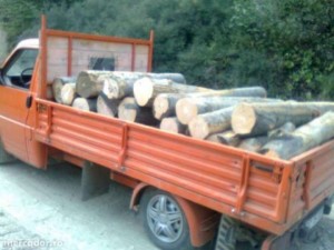transport-ilegal-lemne-sebes