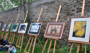 Talentele-Albei-Sebes