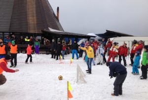 zilele-zapezii-2014-la-sureanu-9-feb-2014jpg