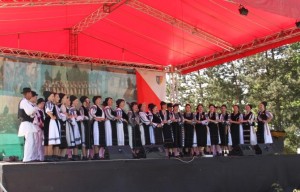 festivalul-cultura-pentru-cultura-2014