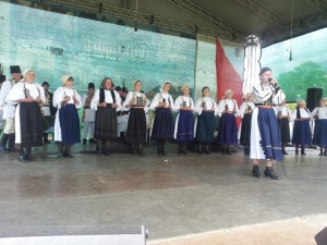 loman-cultura-pentru-cultura-2014