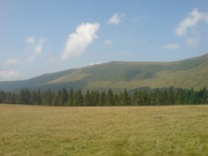 pasune-alpina-sureanu