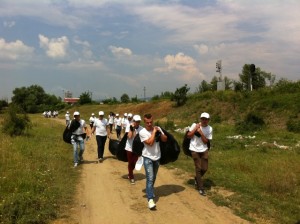 ecologizare-sebes-10-iunie-2015