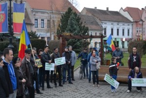 protest-sebes-noiembrie-2015