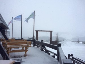 schi-sureanu-15-ianuarie-2016