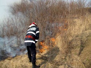 incendiu-vegetatie-uscata-mar-2016