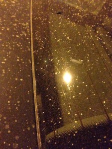 ploaie-praf-saharian-sebes-29-feb-2016