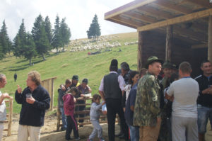 crescatori animale sasciori