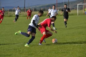 viitorul-santimbru-surianu-sebes-iun-2016