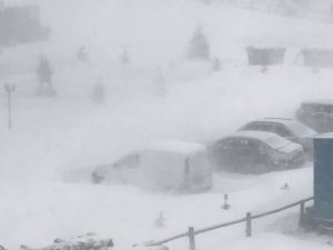 inzapeziti-poarta-raiului